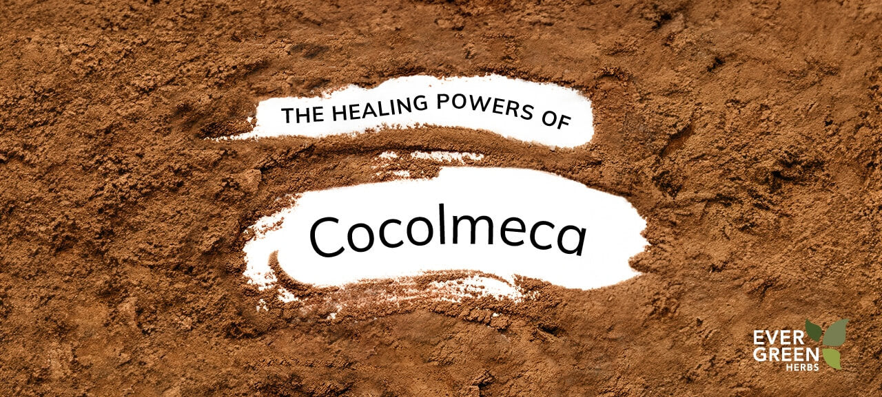 The Healing Powers of Cocolmeca Evergreen Herbs Inc