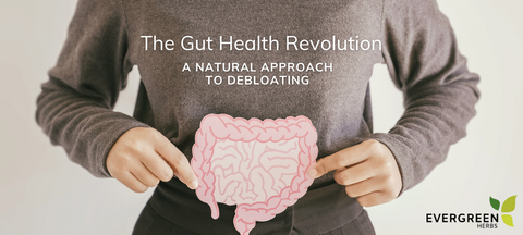 The Gut Health Revolution: A Natural Approach to Debloating