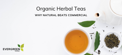 Organic Herbal Teas: Why Natural Beats Commercial