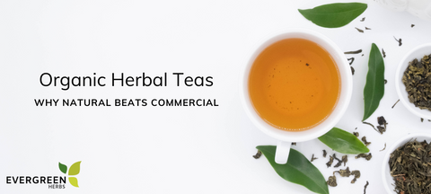 Organic Herbal Teas: Why Natural Beats Commercial