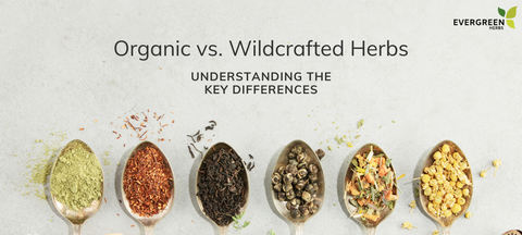 Organic vs. Wildcrafted Herbs: Understanding the Key Differences