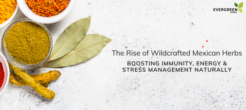 The Rise of Wildcrafted Mexican Herbs: Boosting Immunity, Energy & Stress Management Naturally